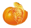 REAL-018.jpg