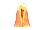 body-7.jpg
