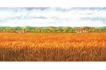 Land-2.jpg