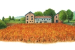 Land-3.jpg