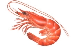 REAL-001.jpg