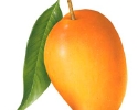 REAL-010.jpg